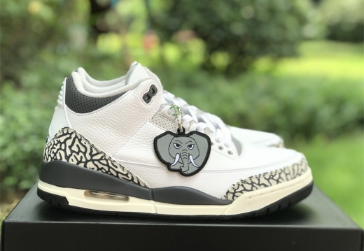 Air Jordan 3 GS Hide N Sneak  DX6665-100   36-46  M84
